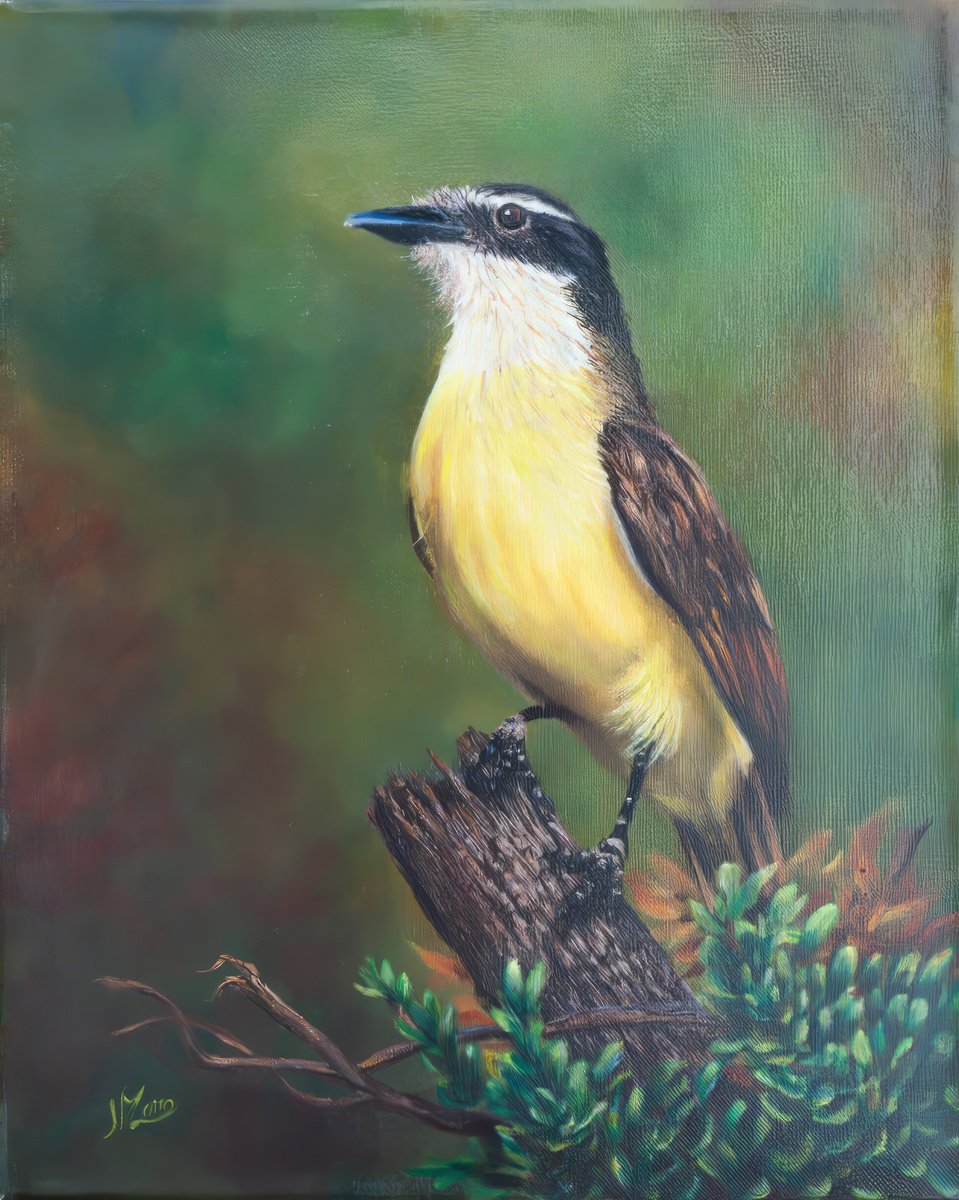 Photorealistic Oil Painting , Kiskadee At Dawn By Norma Beatriz Zaro, 9 X 12, Artwork For Sale On Artfinder