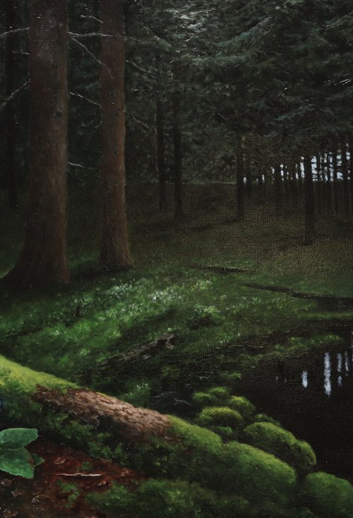 Forest by Oleg Baulin