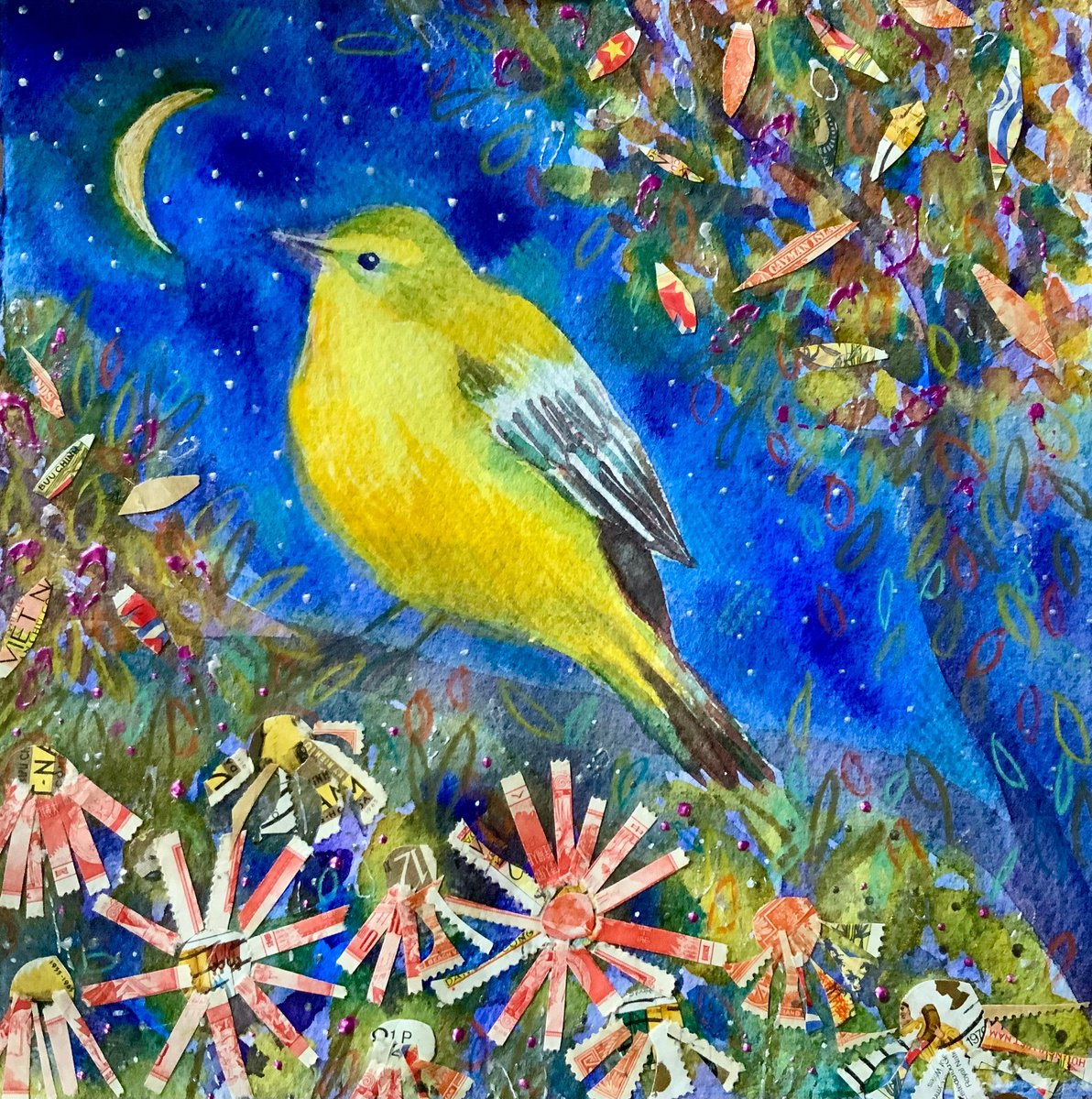 Yellow Wagtail by Janice MacDougall