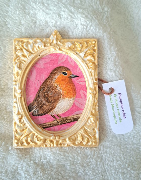 European robin, part of framed animal miniature series "festum animalium"