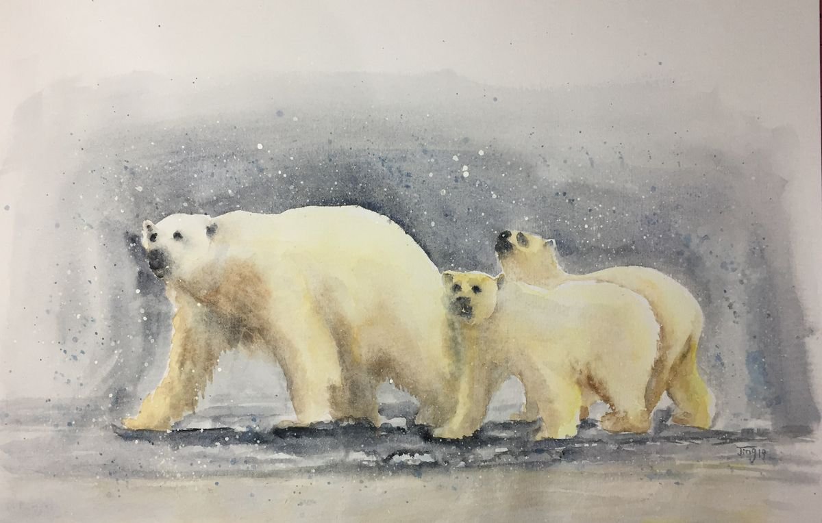 Sea bear family by Jing Tian