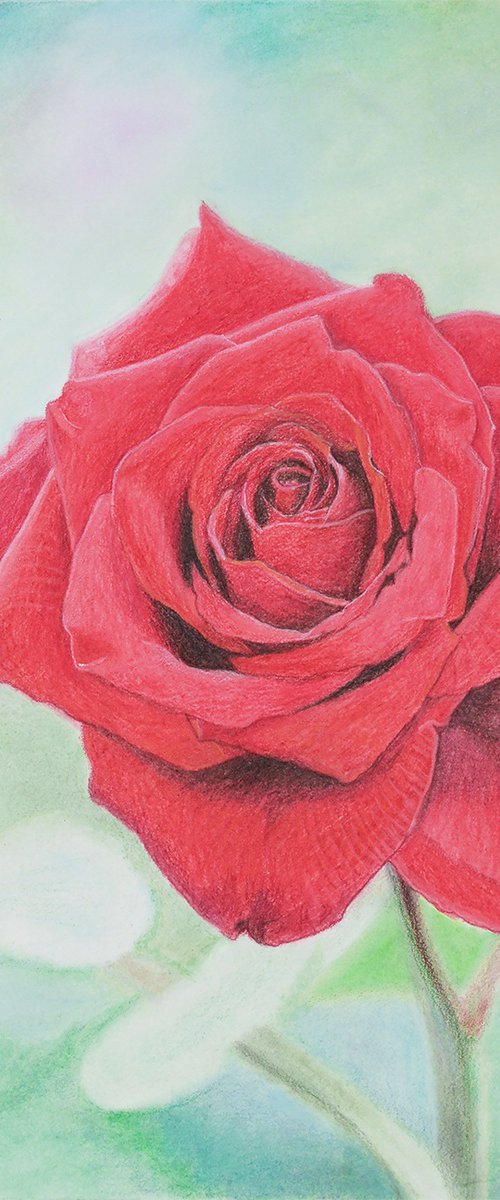 In Full Bloom by Paramjeet Kaur