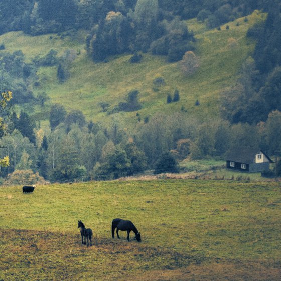 Late summer in the mountains.