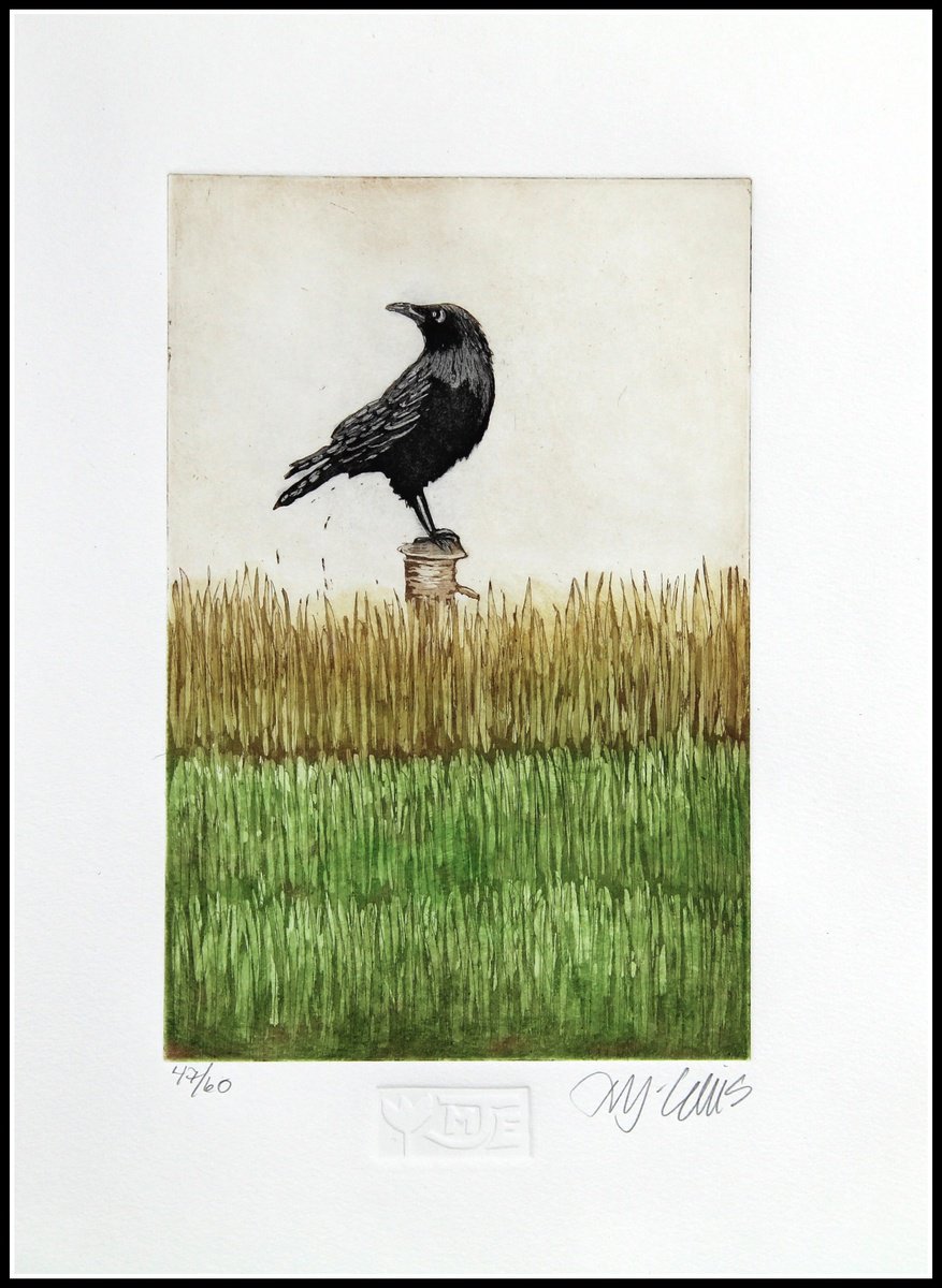 Crow, aquatint etching by Mariann Johansen-Ellis