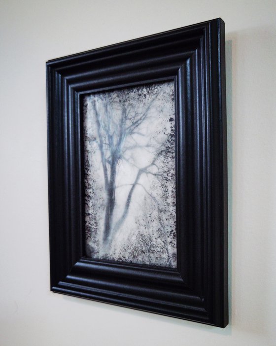 Framed Winter Tree