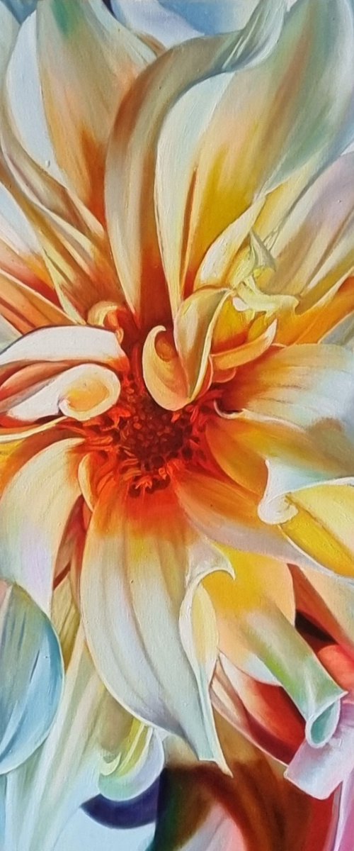 "Birth of love"flower dahlia macro 2022 by Anna Bessonova (Kotelnik)