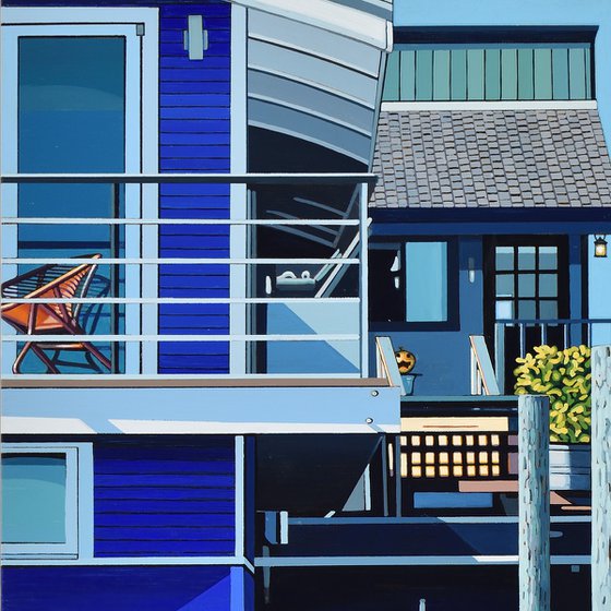 Houseboats And A Seagull #2