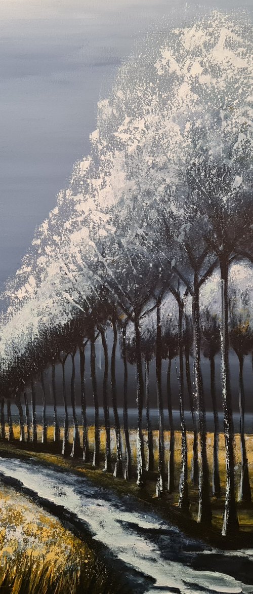 In the land of Ice III-  Fields and Colors Series by Danijela Dan