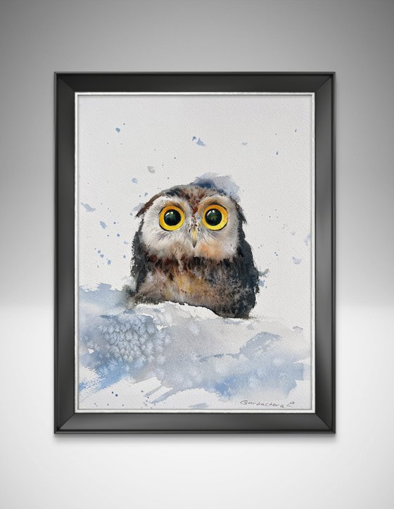 Owlet in a snowdrift