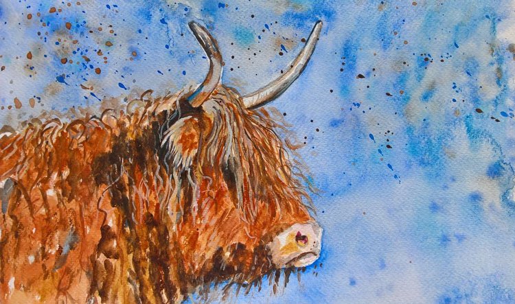 Scottish Highland Cow By Marjan S Art Artfinder