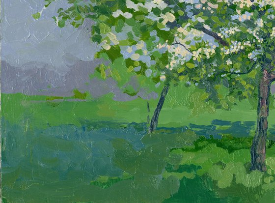 Blooming apple tree
