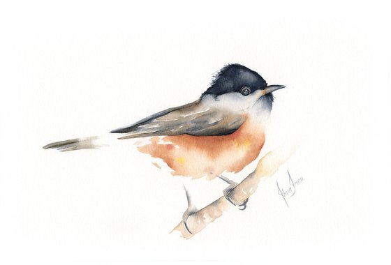 Chickadee