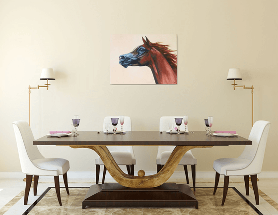 Arabian horse
