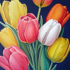Tulip