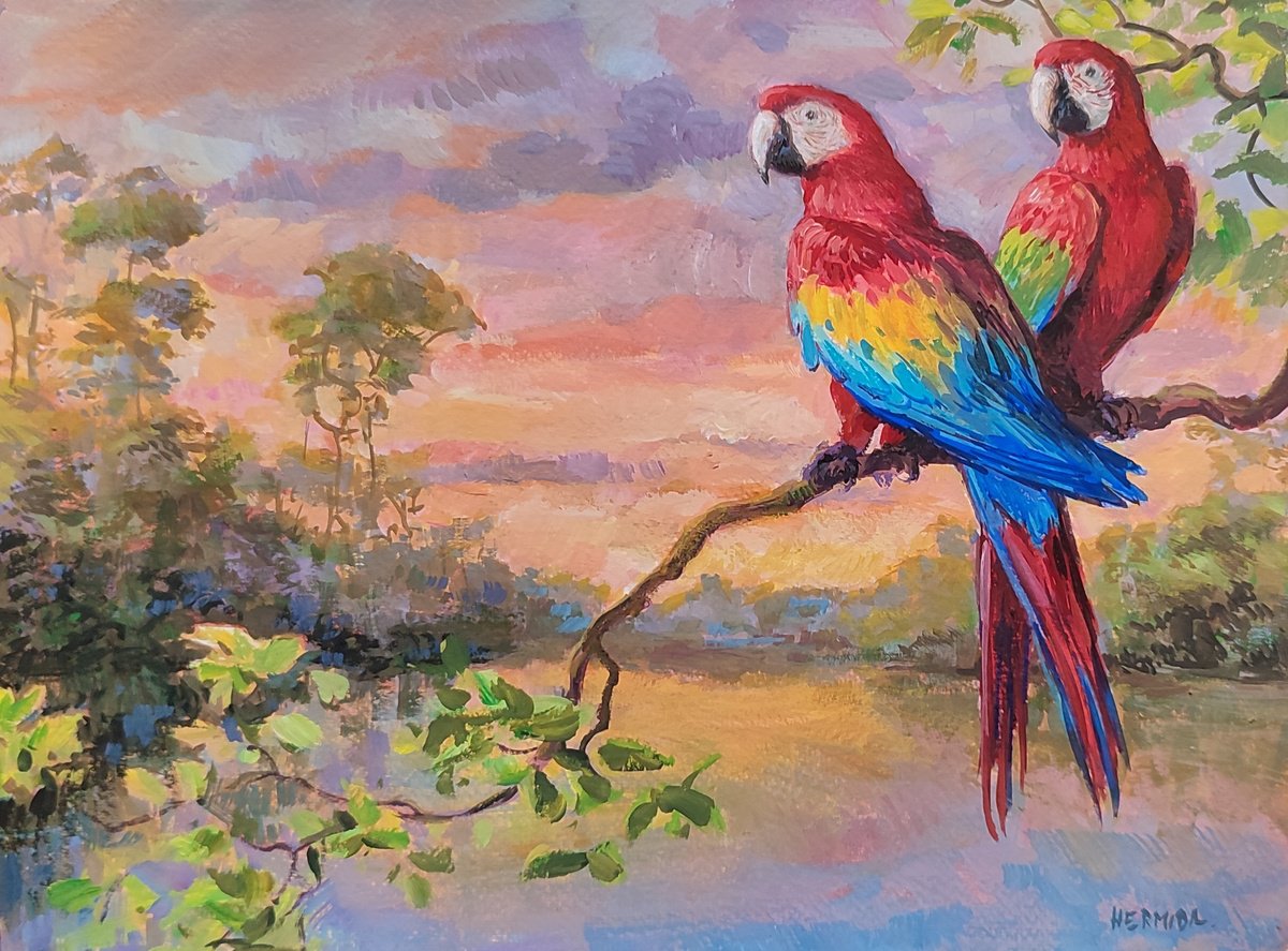 Macaws by Gabriel Hermida