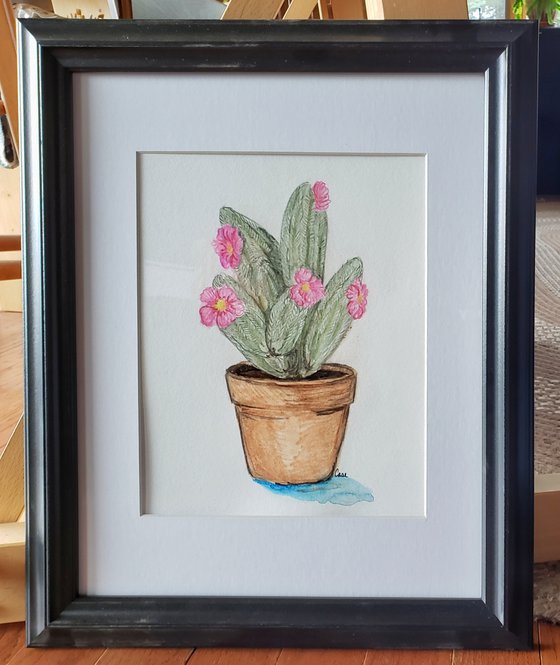 Cactus - Flower - "Succulent"