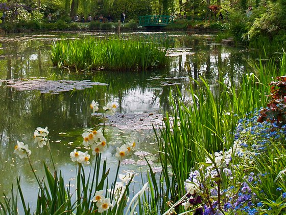 Le jardin d'eau au printemps