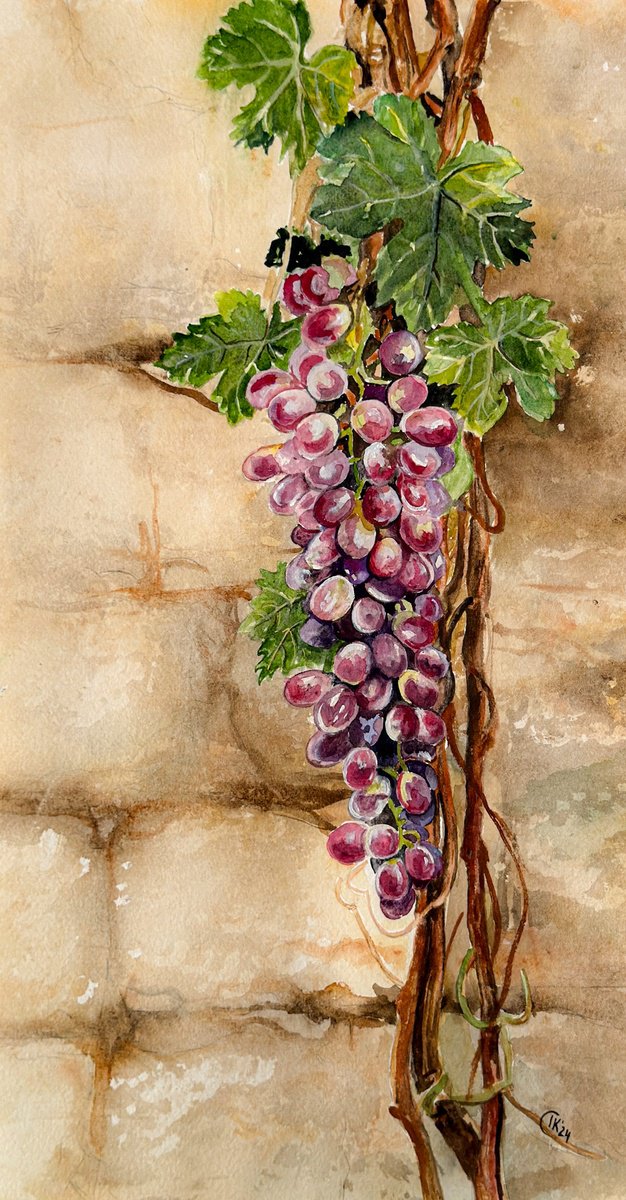 Photorealistic Watercolour , Whispers Through The Wall - Grapevine By Irina Kurganskaya, 8 X 16, Artwork For Sale On Artfinder