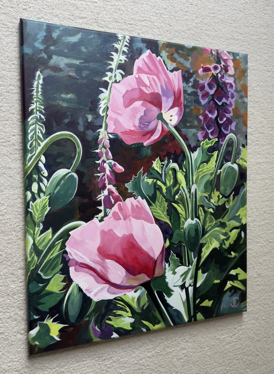 Poppies In The Sunlight