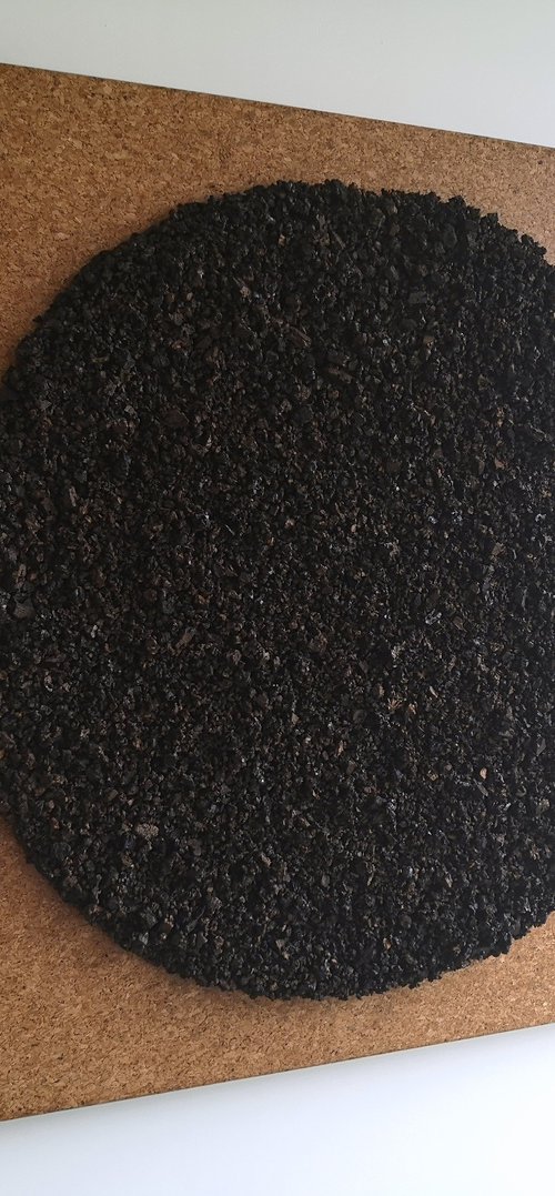 The Circle #4 by Carla Sá Fernandes