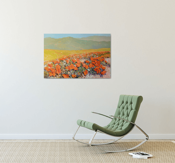 California Poppy