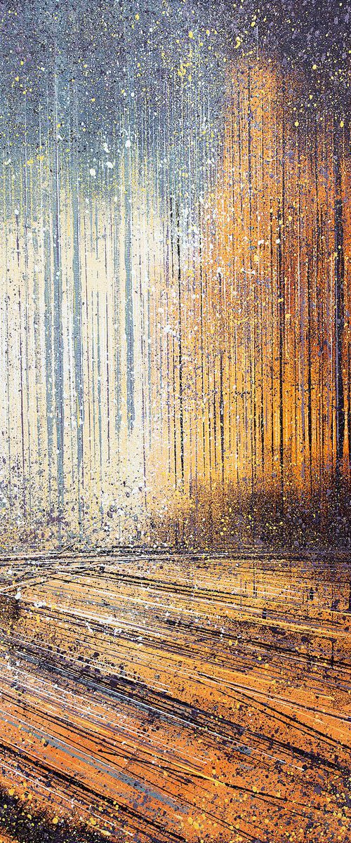 Sunset Through Trees by Marc Todd