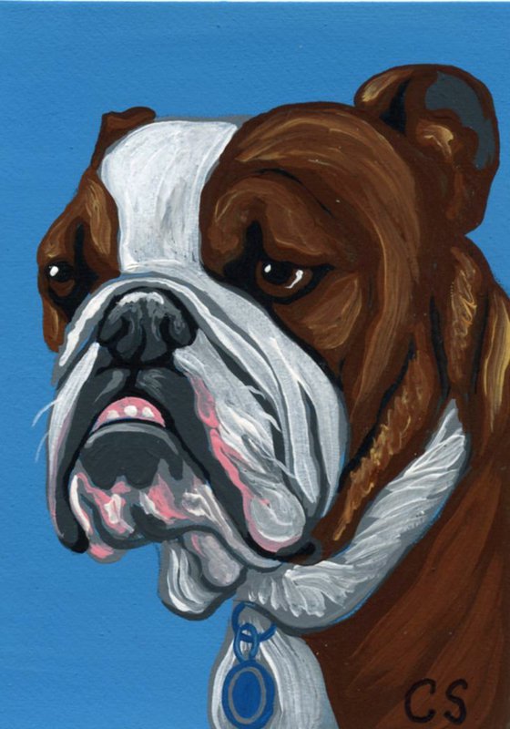 ACEO ATC Original Miniature Painting English Bulldog Pet Dog Art-Carla Smale