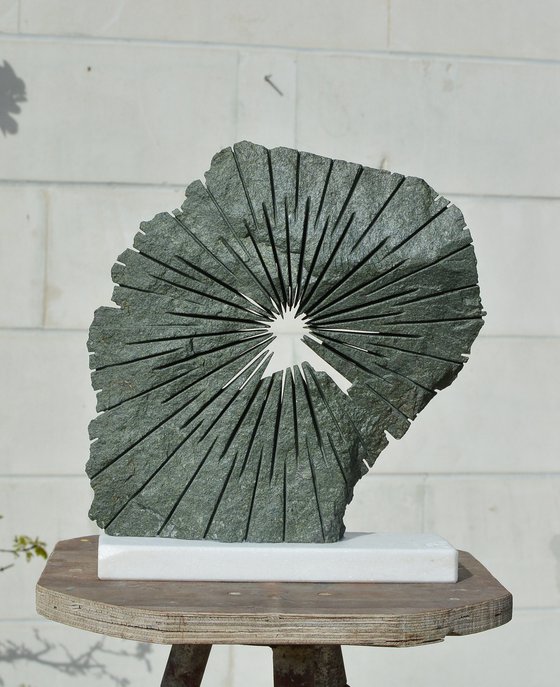 "Brilliance of Mind"