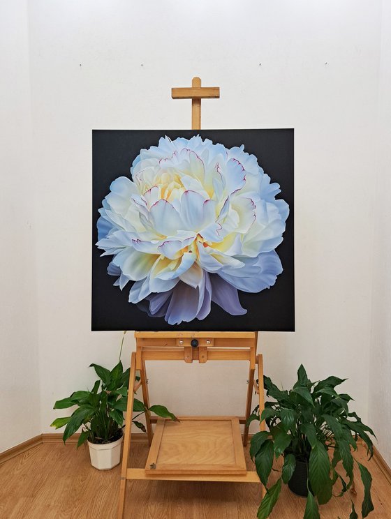 Scent of white peony