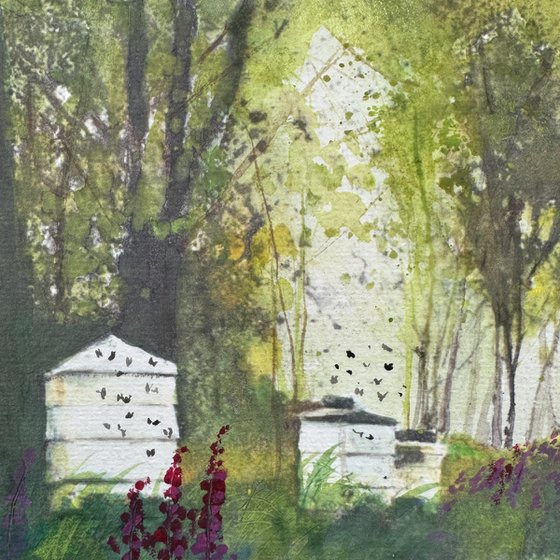 Bee hives in the orchard
