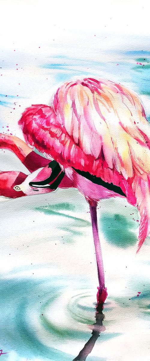 Flamingo from Cyprus by Ksenia Astakhova