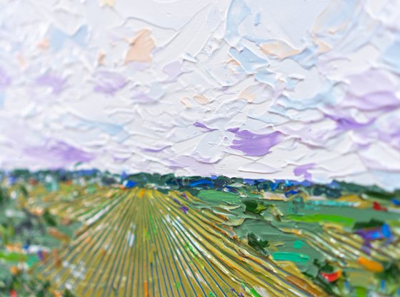 Fieldscape 11