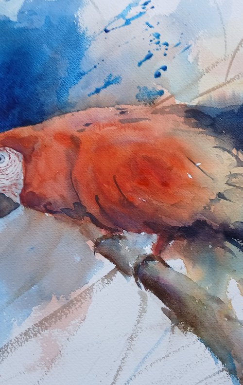 parrot 19 by Giorgio Gosti