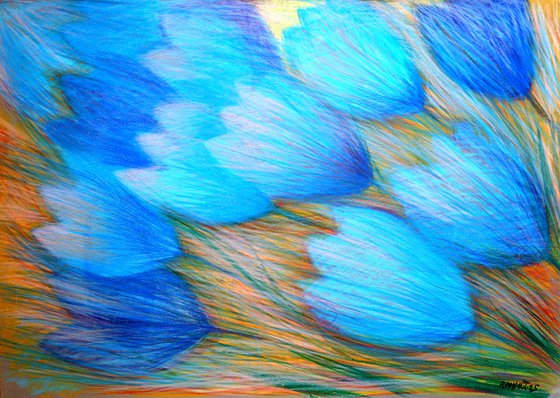 Tulips and Butterfly