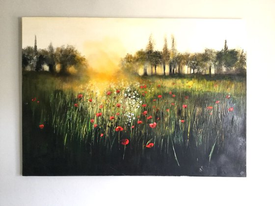 The Last of the Poppies