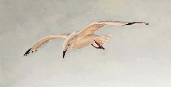 'Gull #1'