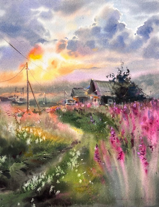 Where Fireweed Blooms