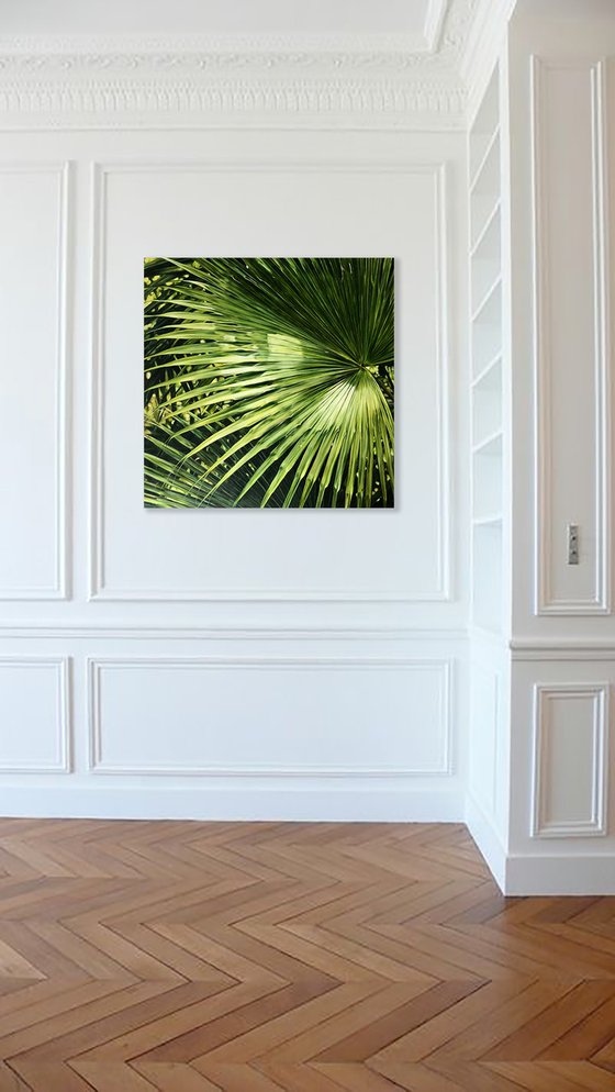 Large painting with a natural motive "Palm leaf" 120 * 120 * cm