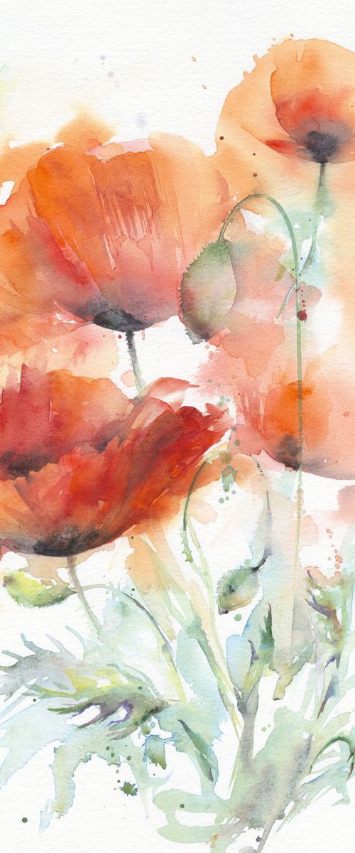 Poppies by Anjana Cawdell