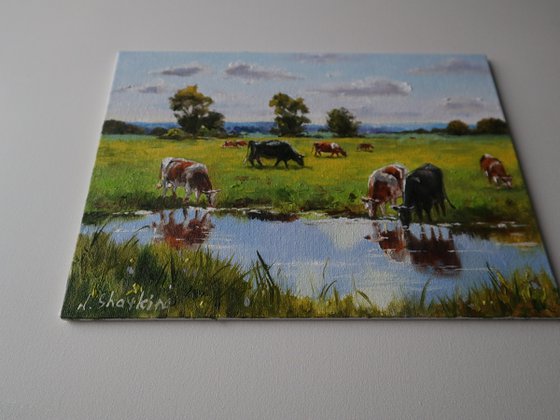 Cows by the River, Sunny Day