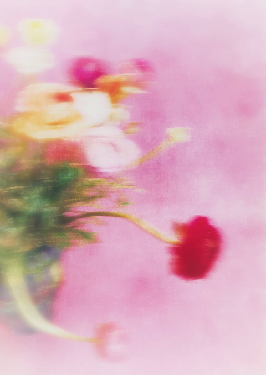 Expressive Botanical Photograph By Sarah Parsons, 12 X 15", Pale Abstact Ranunculus, Original Artwork