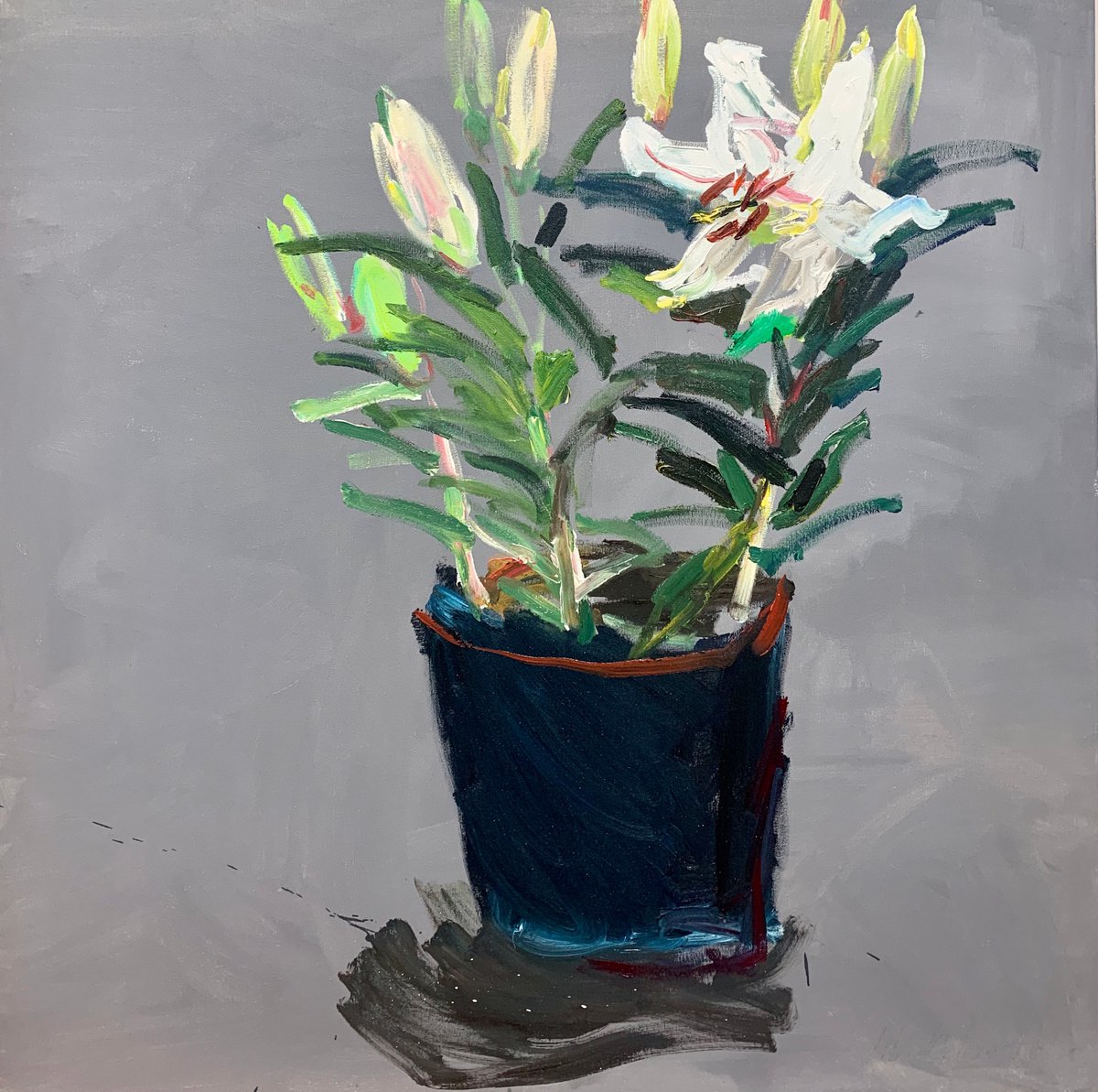 White lily in a flower pot by Lilia Orlova-Holmes