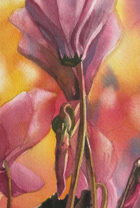 a painting a day #46 "Festive Cyclamen"