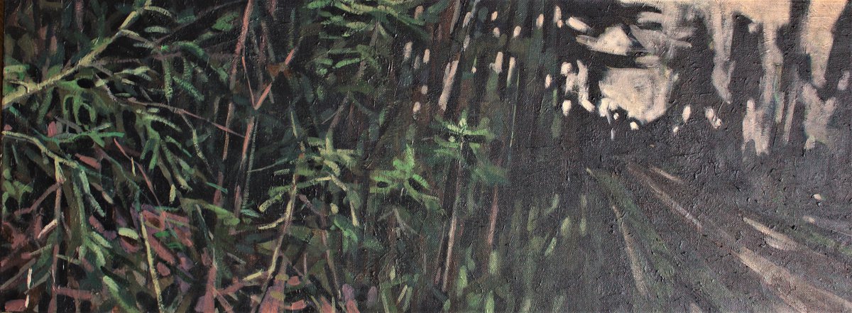 A dark forest by Joanna Plenzler