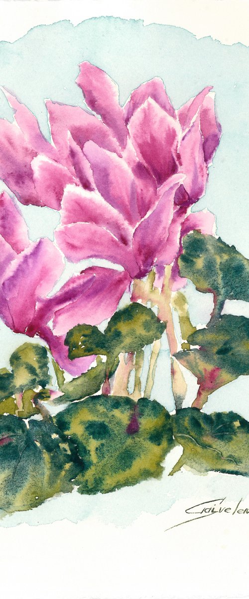 Cyclamen watercolor by Elena Gaivoronskaia