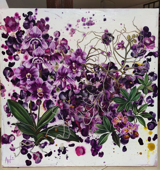 Mauvine, Purple Orchids