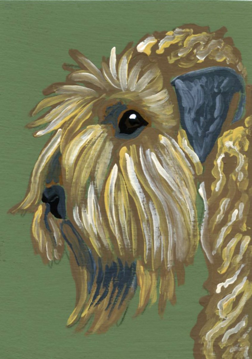 Wheaton Terrier by Carla Smale