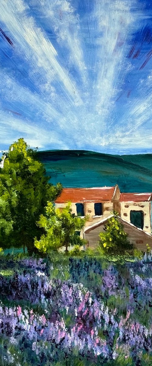 Provence Oil Painting by Halyna Kirichenko