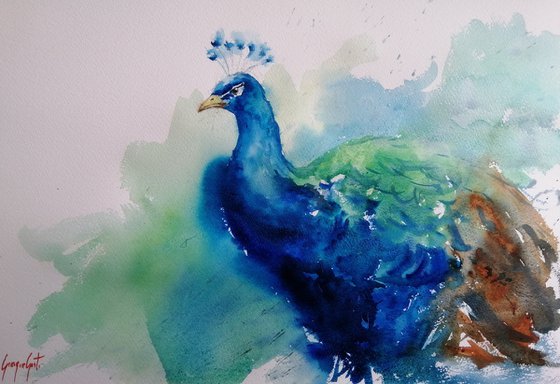 peacock 2