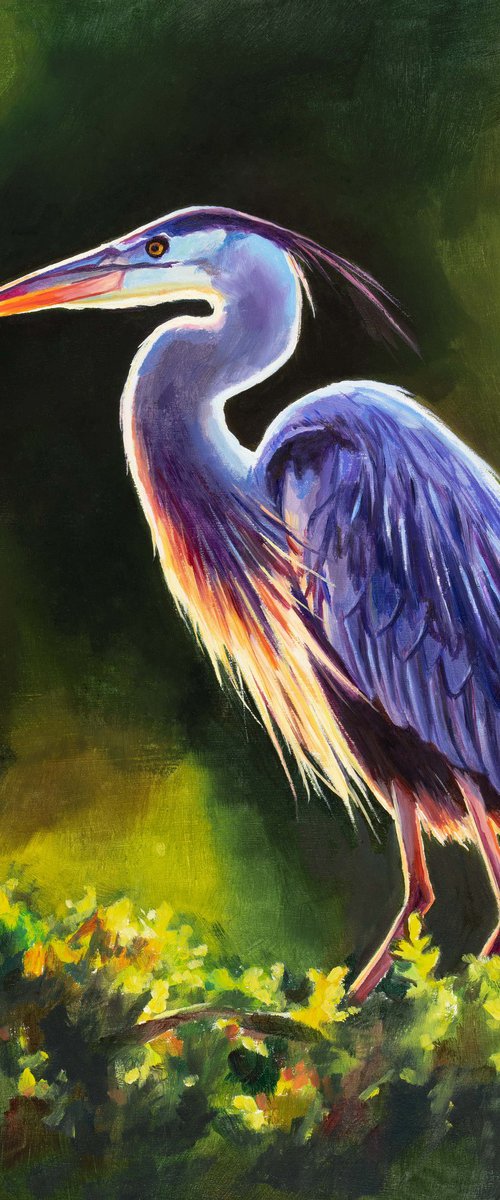 Blue heron majesty by Lucia Verdejo